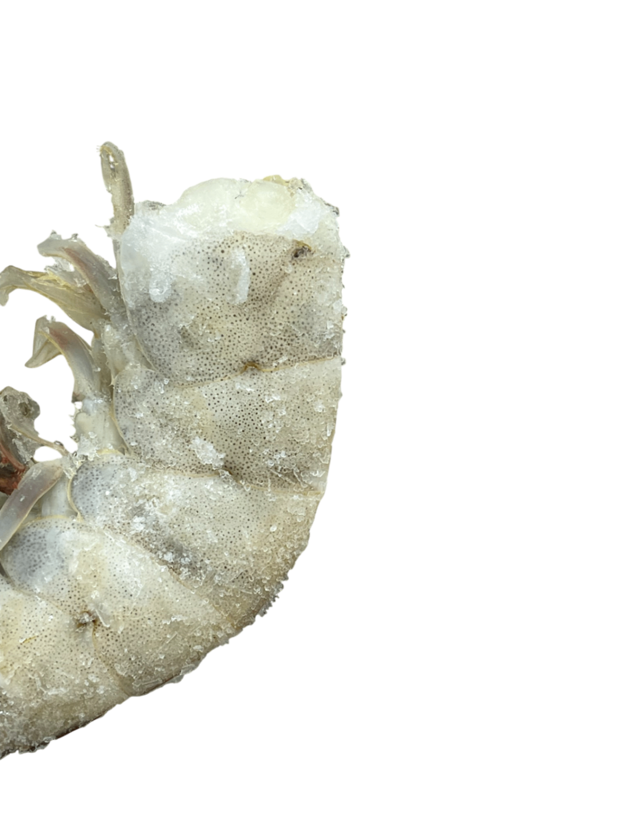 Креветка 21/25, 10% глазурі, блок 2,24 кг Santa Priscila