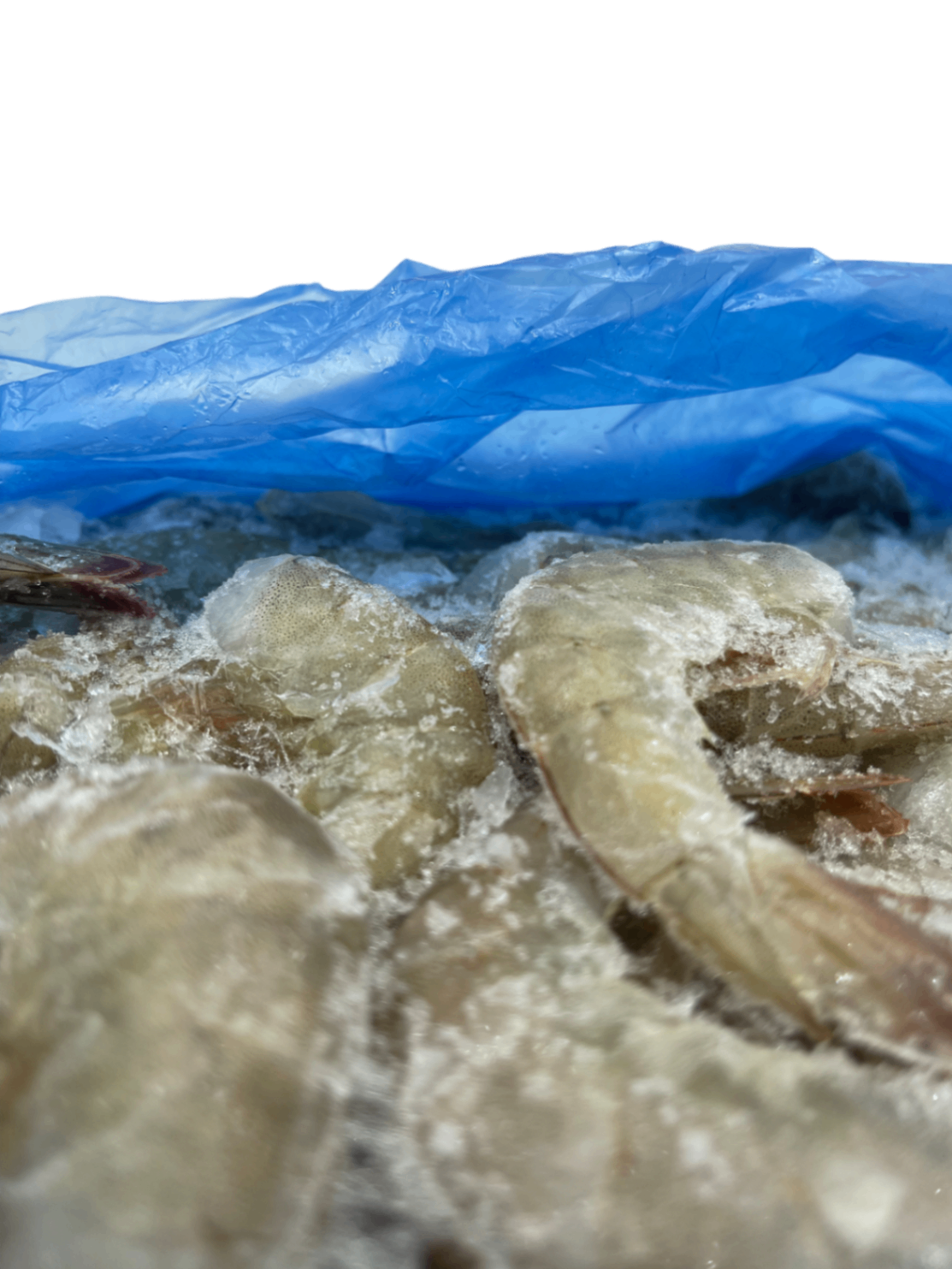 Креветка 16/20 б/г блок 2кг Promarosa