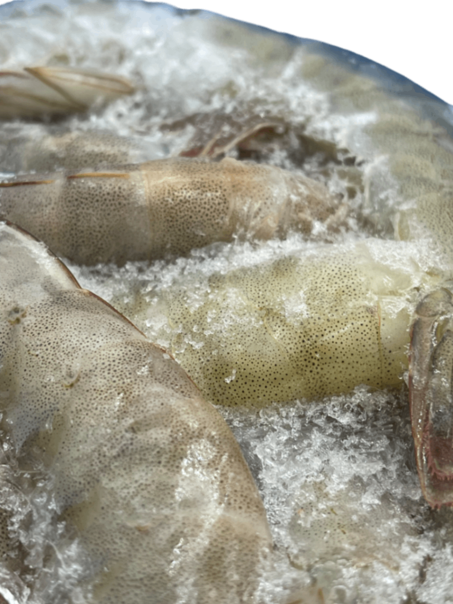 Креветка 21/25 б/г блок 2кг Promarosa