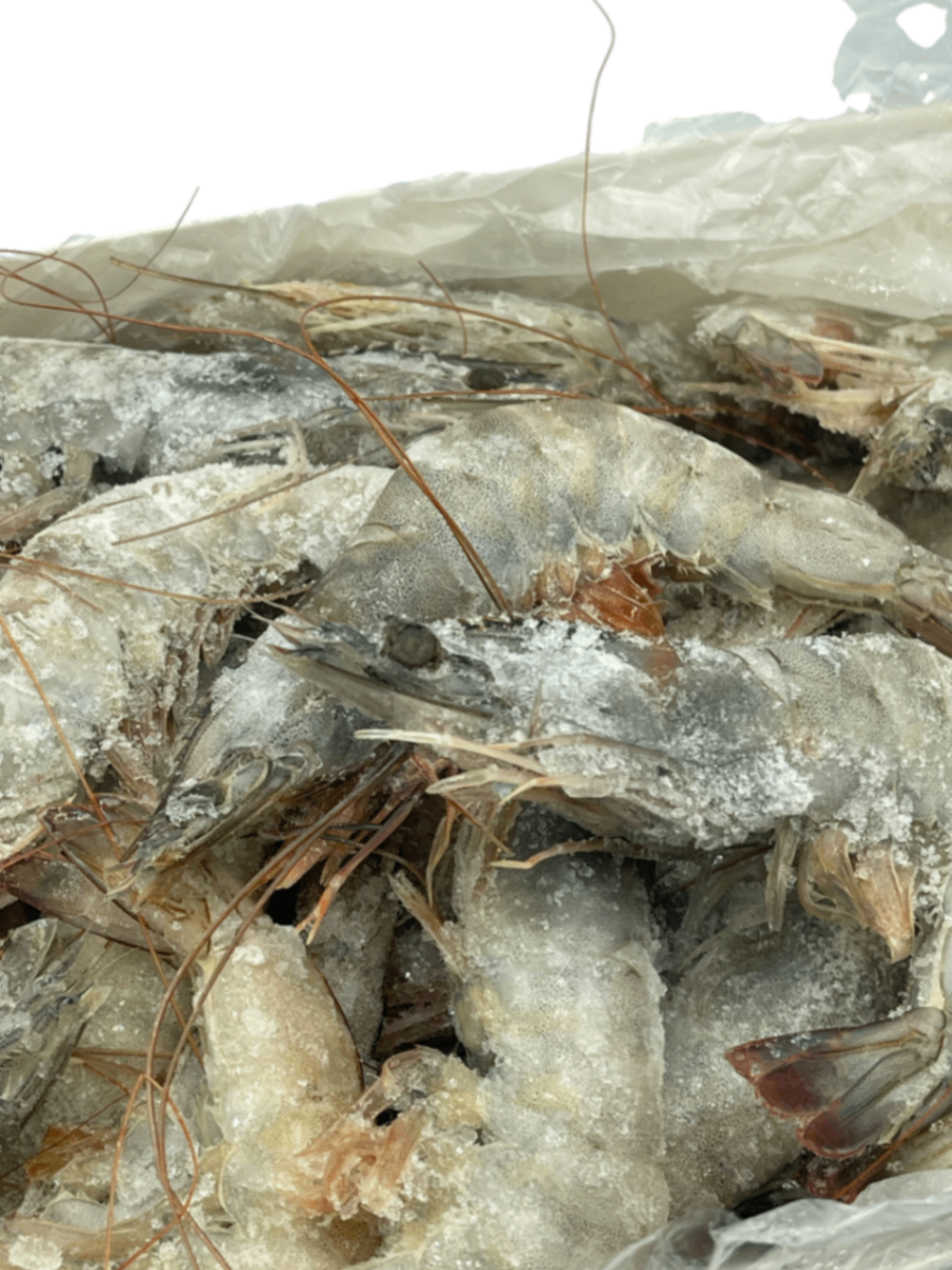 Креветка 20/30 з головою 10%  глазурі, 2.2 кг