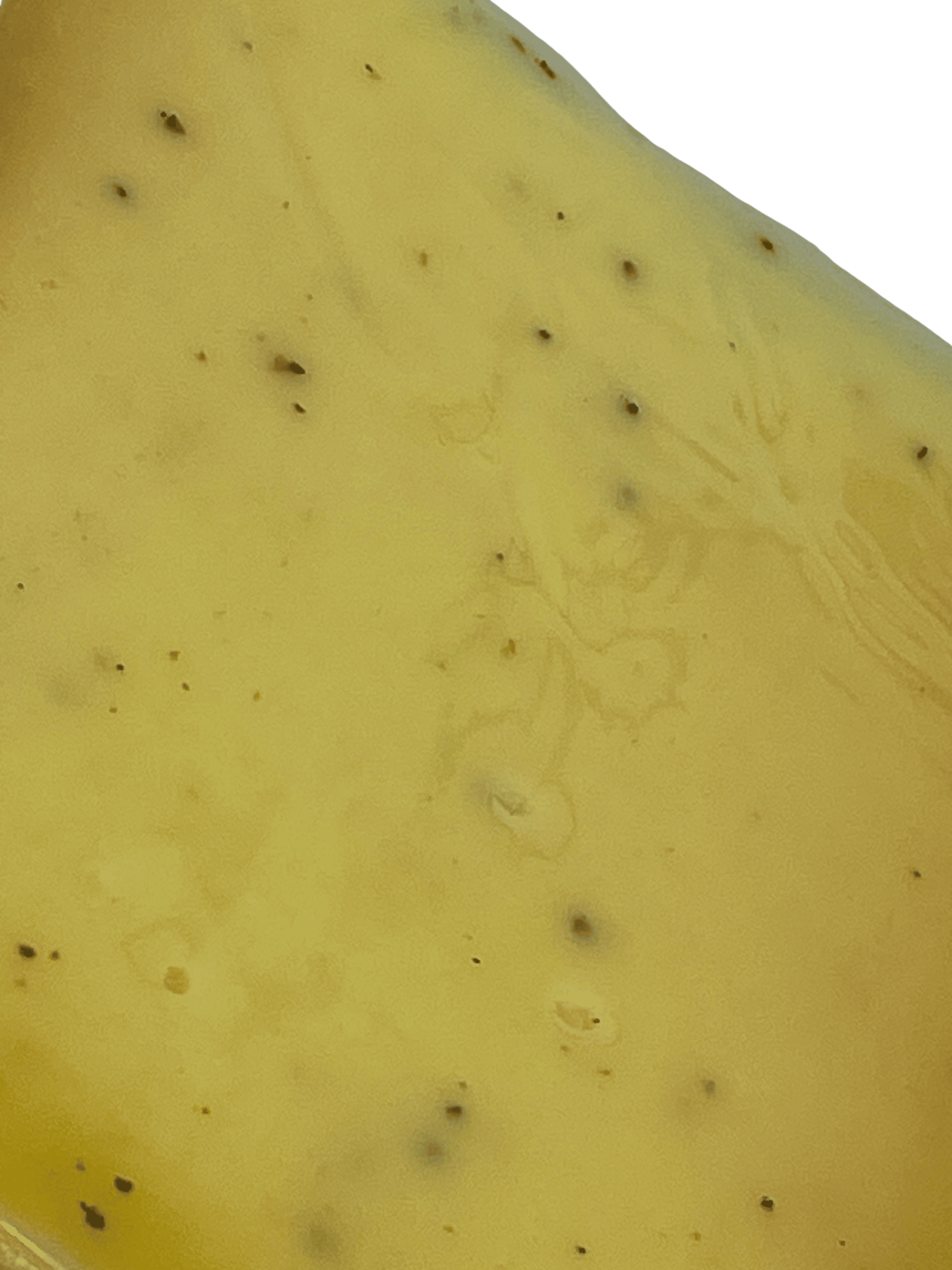 Сир Гауда з трюфелем 50% Pittoresque, Нідерланди 200 г